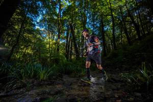 BIB: 
                            <button type="button" onclick="openModal(19240027)" class="btn btn-primary btn-sm float-right btn-popup" data-toggle="modal" data-target=".modal-high-quality">
                        <i class="fas fa-shopping-cart"></i> Add to Cart
                    </button>
                                            <button type="button" onclick="isThisMe(19240027, true)" class="btn btn-success btn-sm float-right btn-popup btn-isme hidden" data-toggle="tooltip" data-placement="bottom" title="นี่คือรูปของคุณใช่ไหม คลิกที่นี่เพื่อเอาเข้าอัลบั้ม">
                        <i class="fas fa-plus"></i> Add to album
                    </button>
                    <button type="button" onclick="isThisMe(19240027, false)" class="btn btn-warning btn-sm float-right btn-popup btn-isnotme hidden">
                        <i class="fas fa-ban"></i> Remove from album
                    </button>